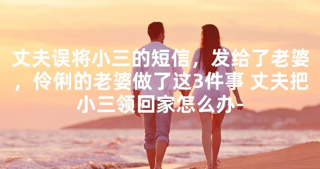 丈夫误将小三的短信，发给了老婆，伶俐的老婆做了